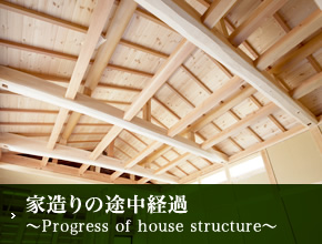 家造りの途中経過～Progress of house structure～